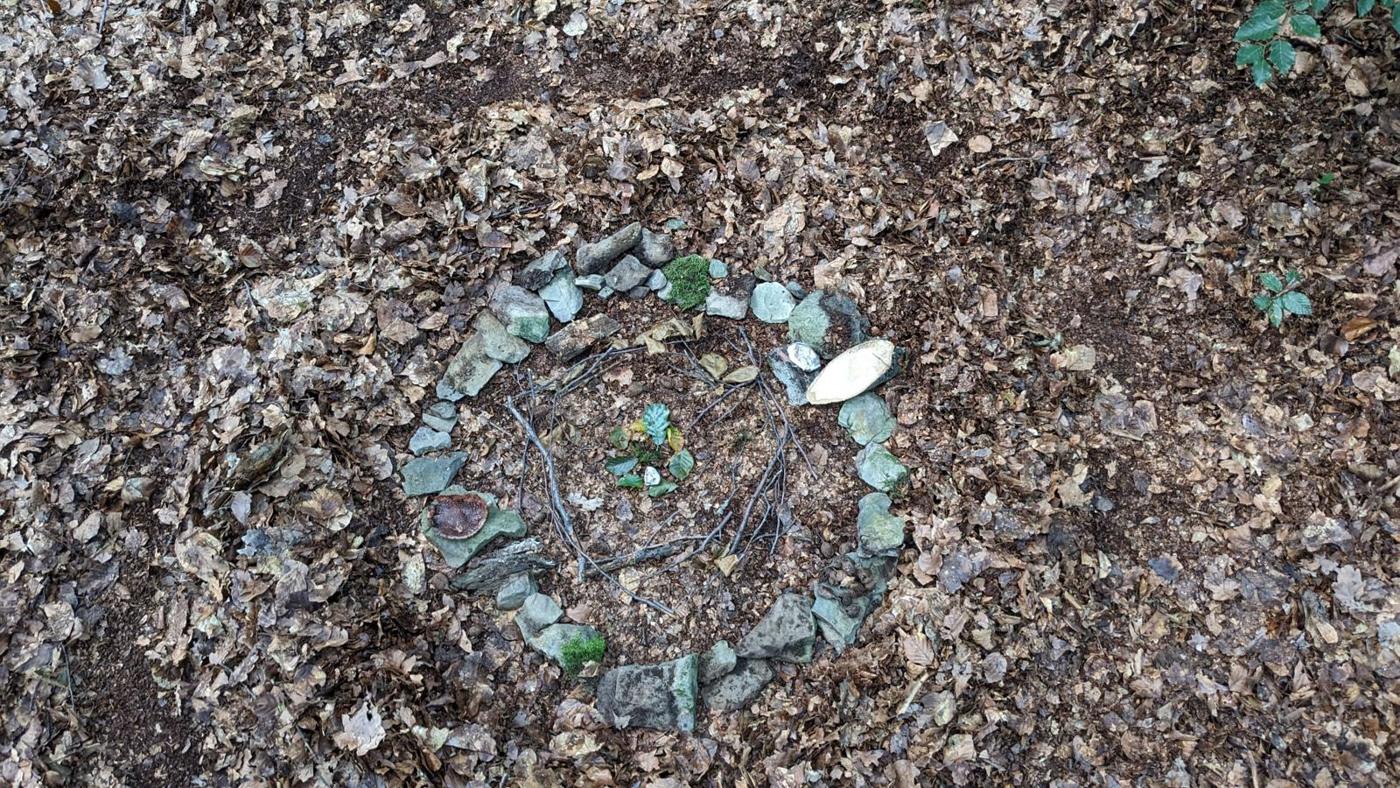 Kreis aus Steinen und Moos auf dem Laubboden